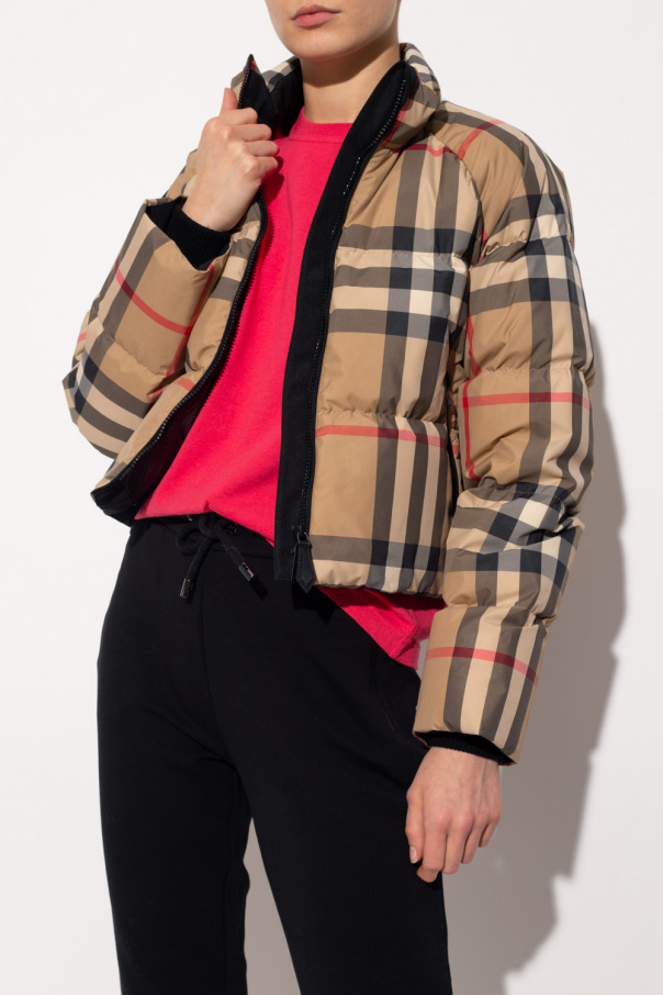 SchaferandweinerShops Japan - Down jacket Burberry